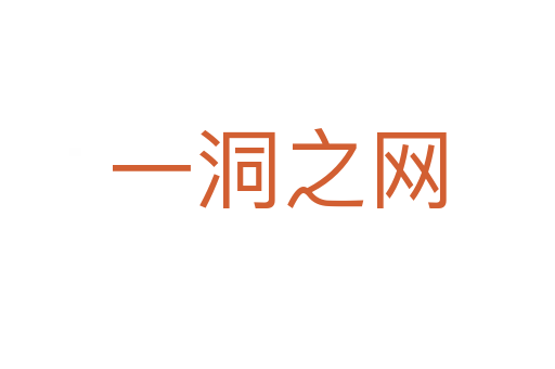 一洞之網(wǎng)