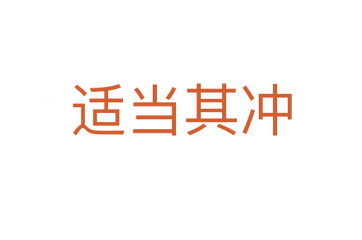 適當(dāng)其沖