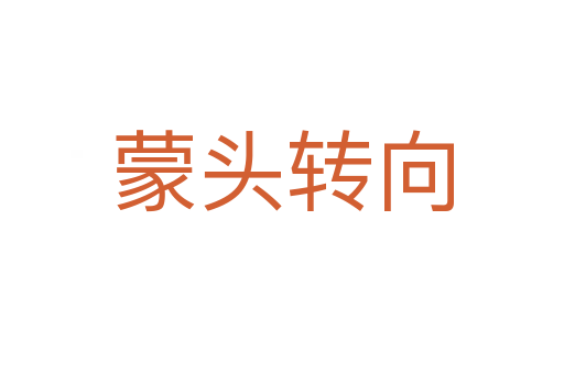 蒙頭轉(zhuǎn)向