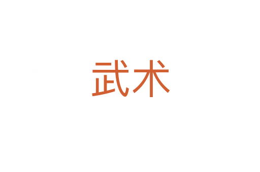 武術(shù)