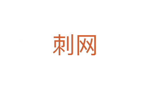 刺網(wǎng)