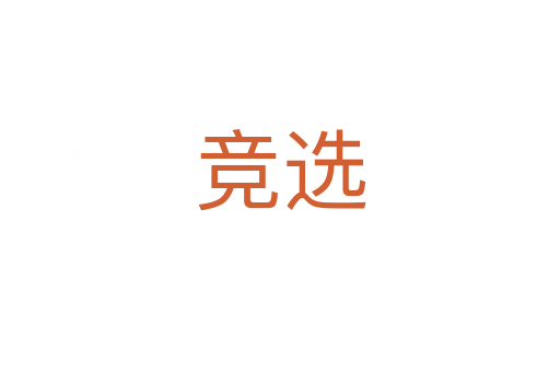 競(jìng)選