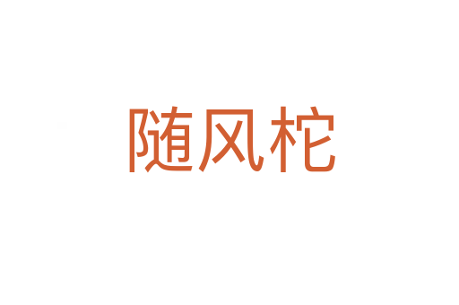 隨風(fēng)柁