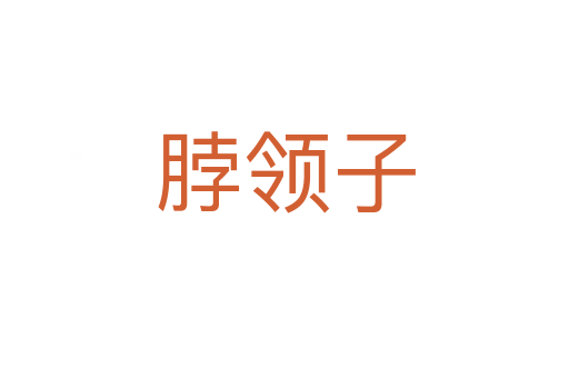 脖領(lǐng)子