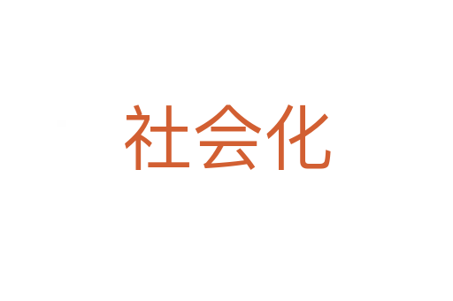 社會(huì)化