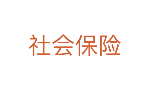 社會保險(xiǎn)