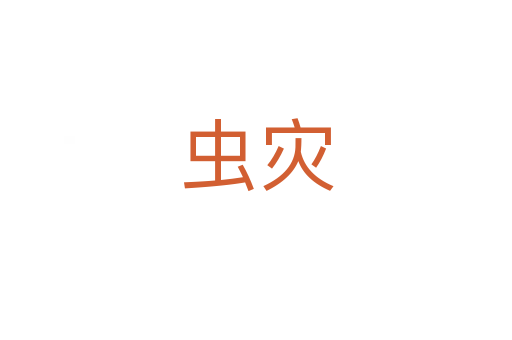 蟲災(zāi)