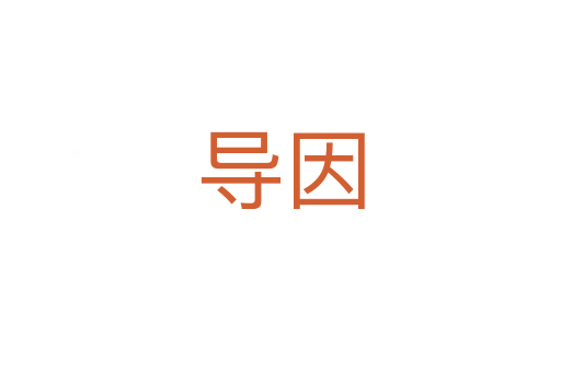 導(dǎo)因