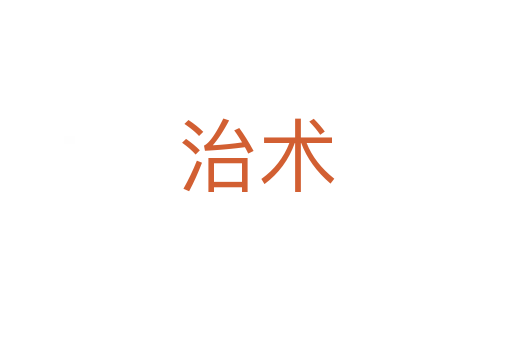 治術(shù)