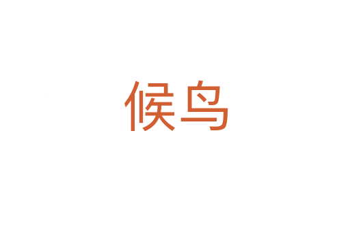 候鳥(niǎo)