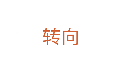 轉(zhuǎn)向