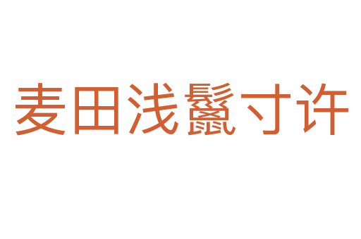 麥田淺鬣寸許