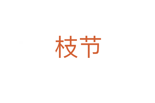 枝節(jié)