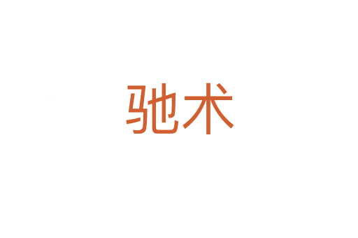 馳術(shù)