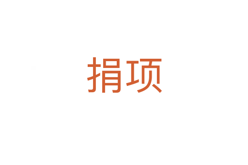 捐項(xiàng)