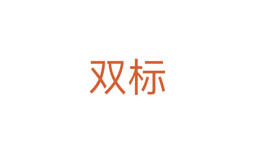 雙標(biāo)