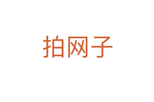 拍網(wǎng)子