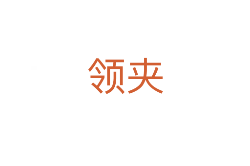 領(lǐng)夾