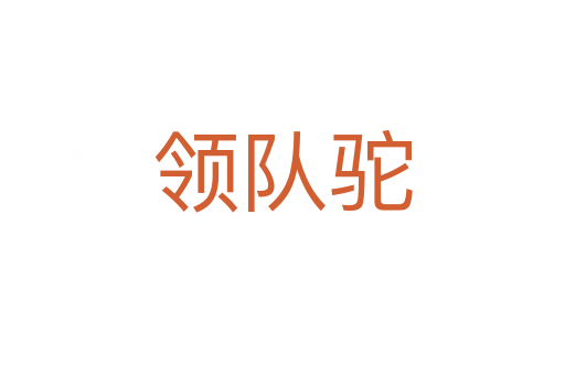 領(lǐng)隊(duì)駝