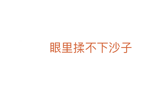 眼里揉不下沙子