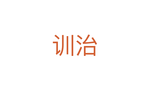 訓(xùn)治