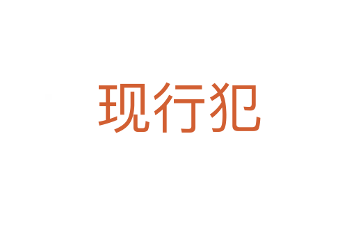 現(xiàn)行犯