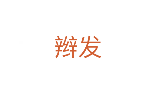 辮發(fā)