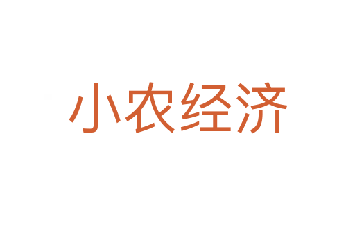 小農(nóng)經(jīng)濟(jì)