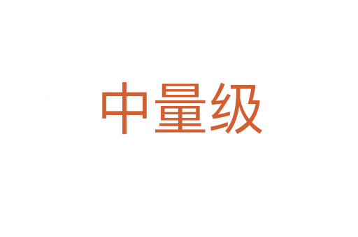 中量級(jí)