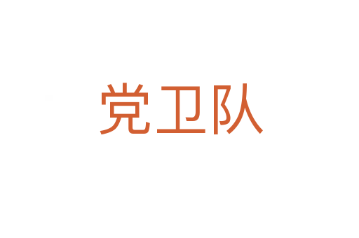 黨衛(wèi)隊