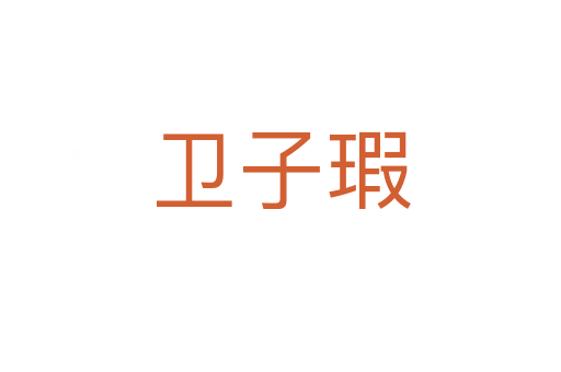 衛(wèi)子瑕