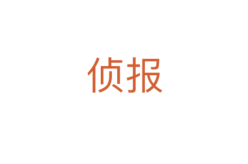 偵報(bào)