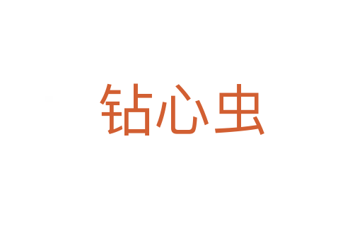 鉆心蟲(chóng)