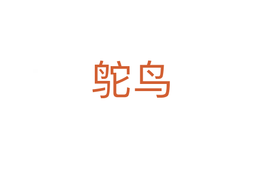 鴕鳥(niǎo)