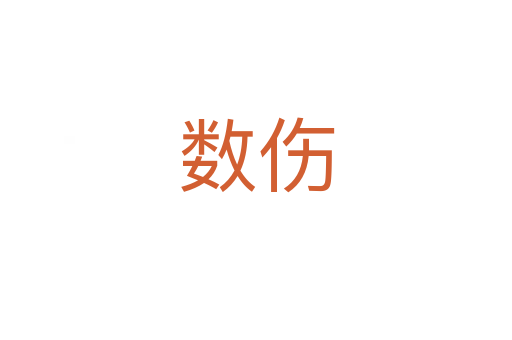 數(shù)傷