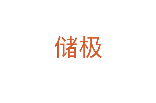 儲(chǔ)極