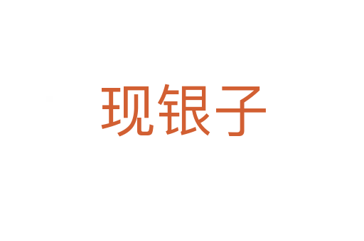 現(xiàn)銀子