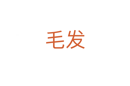 毛發(fā)