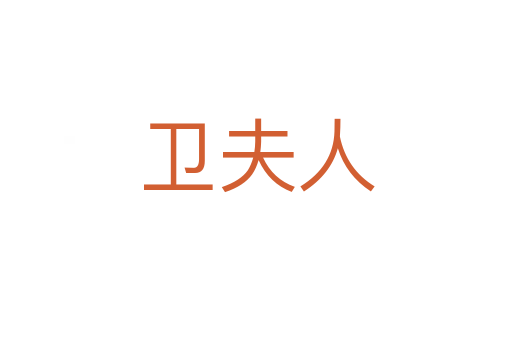 衛(wèi)夫人