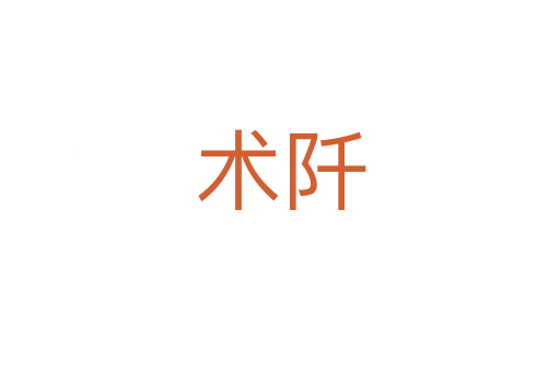 術(shù)阡