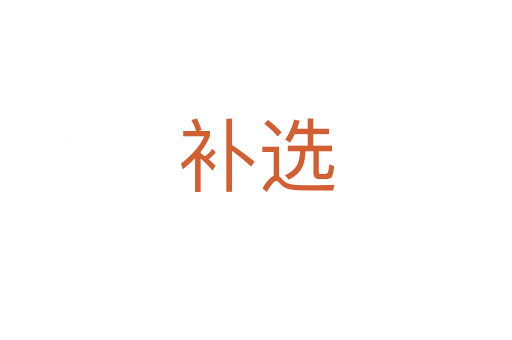 補(bǔ)選