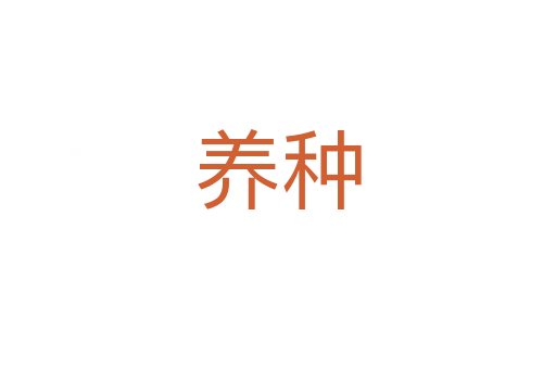 養(yǎng)種