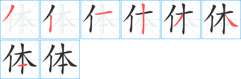 體的筆順分步演示