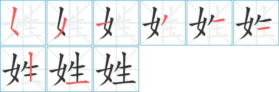 姓的筆順?lè)植窖菔?>
					
                    <hr />
                    <h2>姓的基本信息</h2>
                    <div   id=