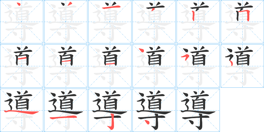 導(dǎo)的筆順分步演示