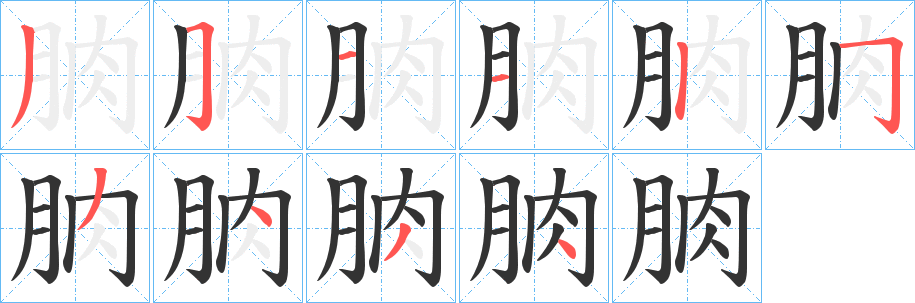 朒的筆順分步演示