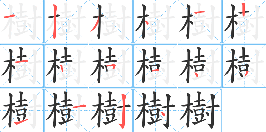 樹的筆順分步演示