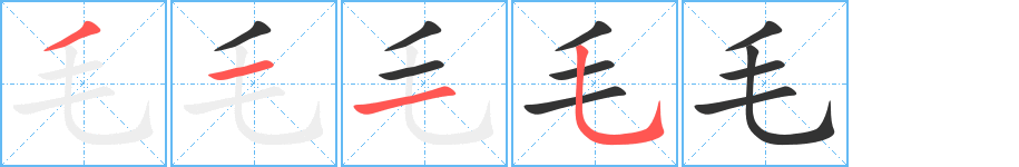 毛的筆順分步演示