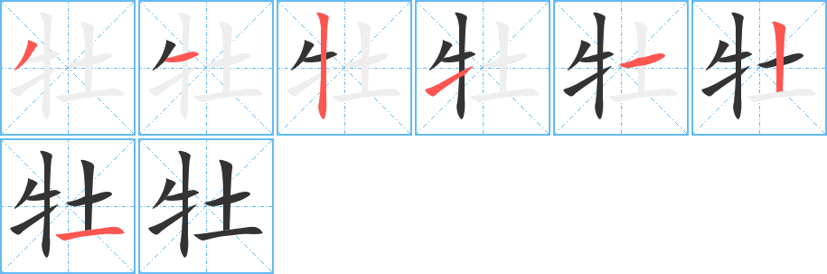 牡的筆順分步演示