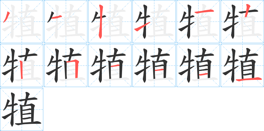 犆的筆順分步演示